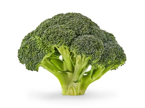 Fresh Broccoli Crowns, Each
