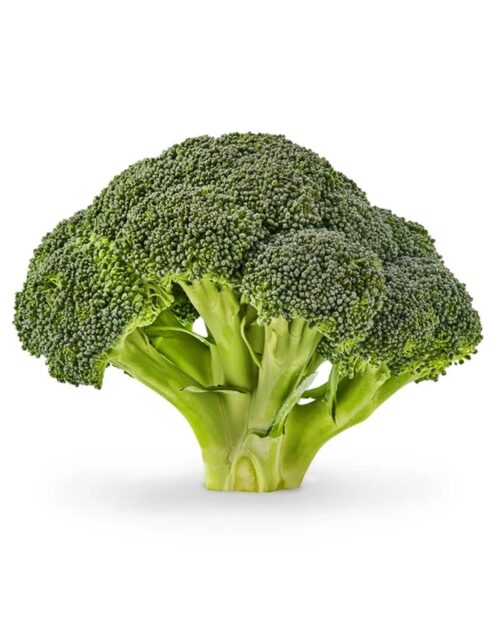 Fresh Broccoli Crowns, Each