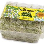 Alfalfa Sprouts 4OZ