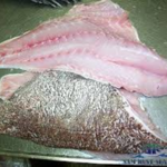 Fillet Grouper 1LB