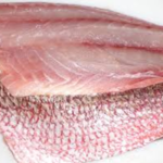 Fillet Snapper 1LB