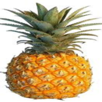 Pineapple 1CT