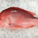 Whole Snapper 1LB