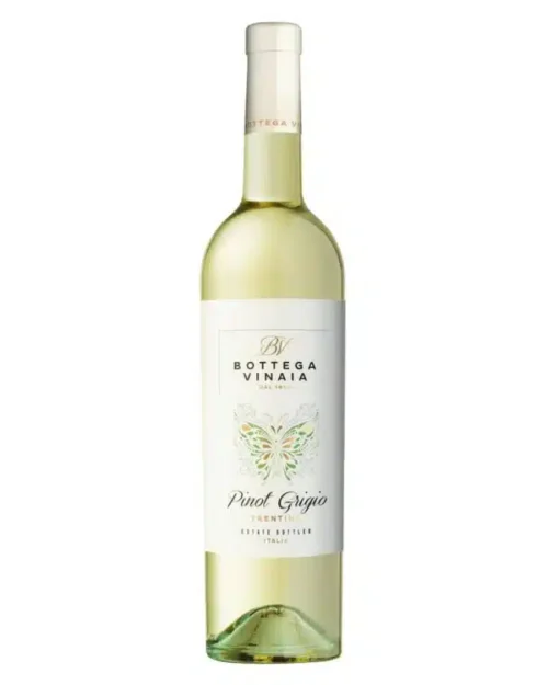 Bogetta Vinaia Pinot Grigio
