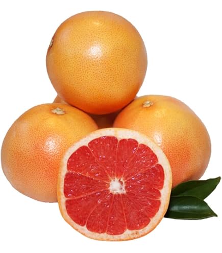 Red Ruby Grapefruit